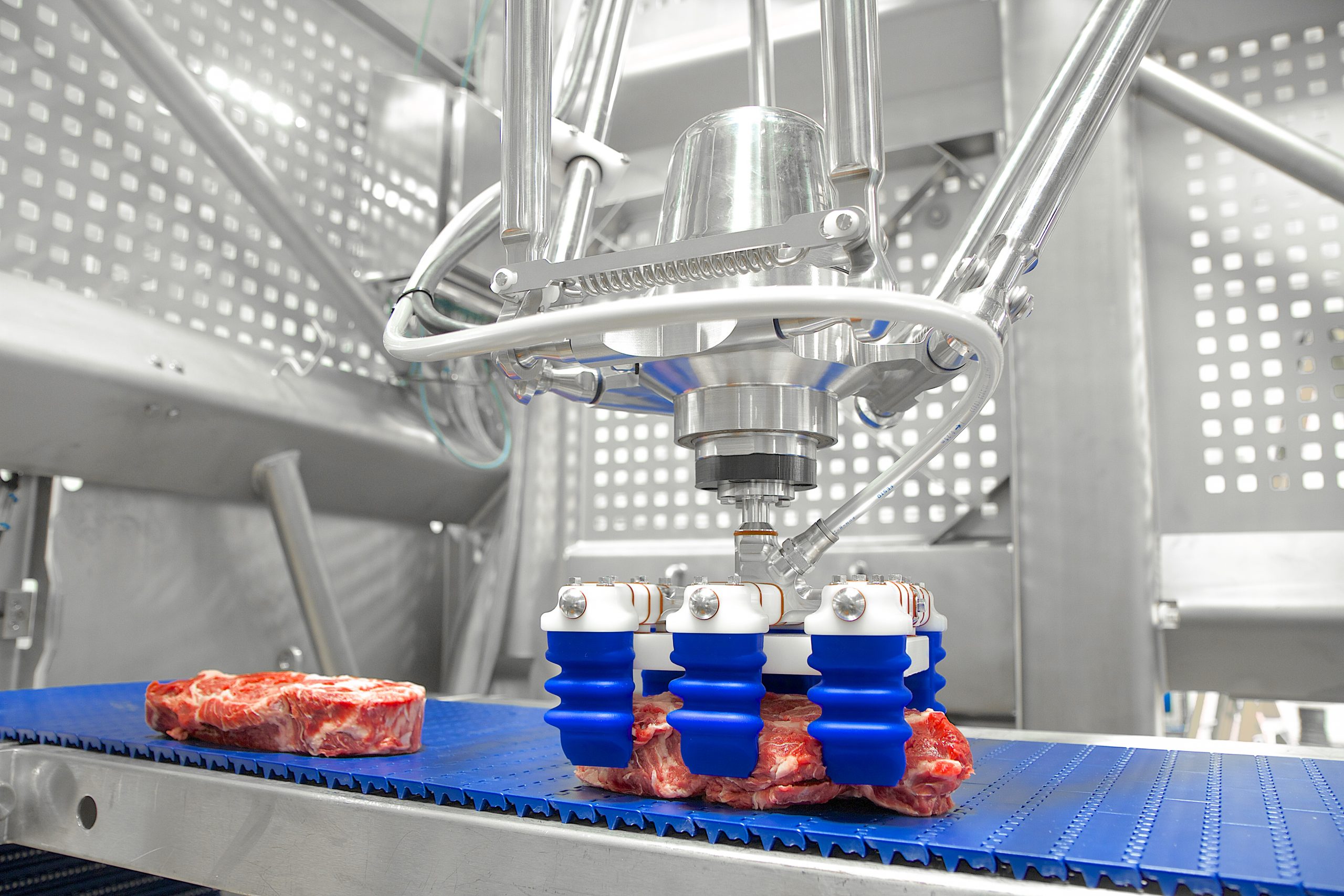 Protein Food Handling Robotic System